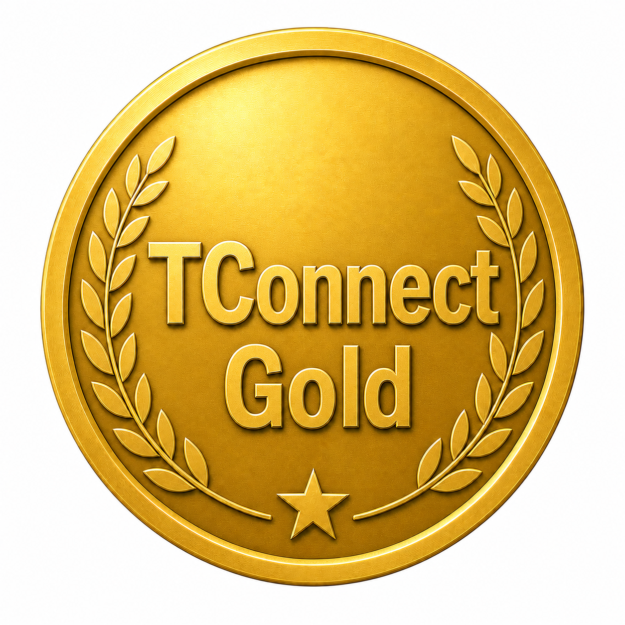 TConnect Gold Interface Simplified